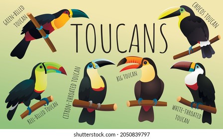 600 All Type Bird Images, Stock Photos & Vectors | Shutterstock