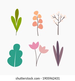 Here is a collection of the floral flat vector in pastel color