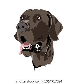 Here is a dog face vector art, this art is realistic flat vector