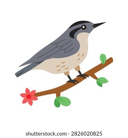 Here is a flat vector showing the wild nuthatch bird concept.