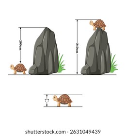 Here is a math that is represented through turtles and rocks and vector images. This type of math is very beneficial for our brain.