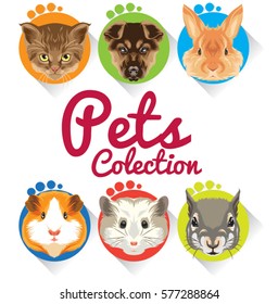 Here pets vector for your needs. easy to edit and re-size. enjoy and don't forget for rate.