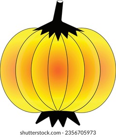 Here is a ripe pumpkin.