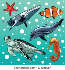 Here sea animal vector isolated on sea background