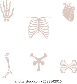 Here are some parts of the human body that can be used in biological projects.