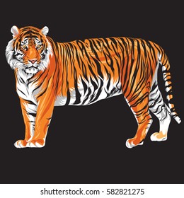 Here Tiger Vector for your needs. Easy to edit and re-size. Enjoy and don't forget rate.