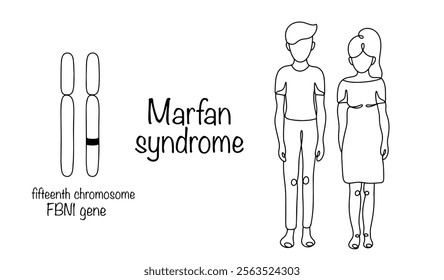 A hereditary disease caused by a gene mutation. A drawn human chromosome with a defect and the manifestation of the disease in the form of tall stature and long limbs in people. Marfan syndrome.