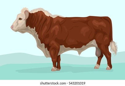 free clipart hereford bull