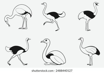 Here's a catchy title for you, "Majestic Ostrich Vector Illustration