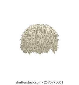 hericium erinaceus: piece of lion's mane mushroom, hericium erinaceus mushrooms. Vector hand drawn mushroom clip art , vector doodle