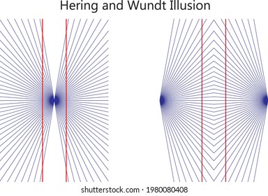 Hering and wundt illusion is one of the geometrical-optical illusion. When two straight and parallel lines are presented in front of radial background , the line appear as if they were bowed outwards.