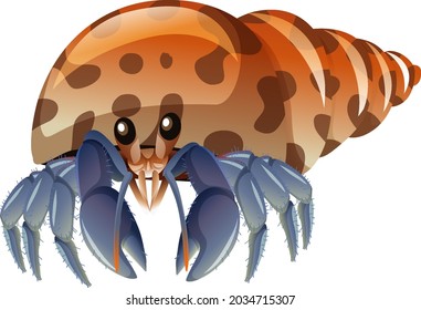 Hermit Crab in cartoon style on white background illustration