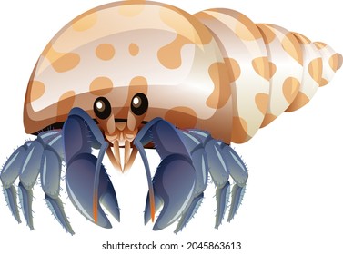 Hermit Crab in cartoon style on white background illustration