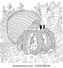 Hermit crab coloring page. Underwater colouring design.