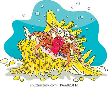 Hermit crab in a fancy shell with bright spots on a tropical reef in a southern sea, vector cartoon illustration isolated on a white background
