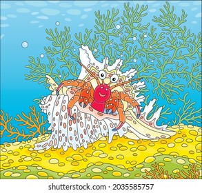Hermit crab in a fancy shell with bright spots on a tropical reef in a southern sea, vector cartoon illustration