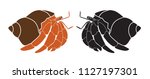 Hermit crab. Isolated crab on white background, Vector.