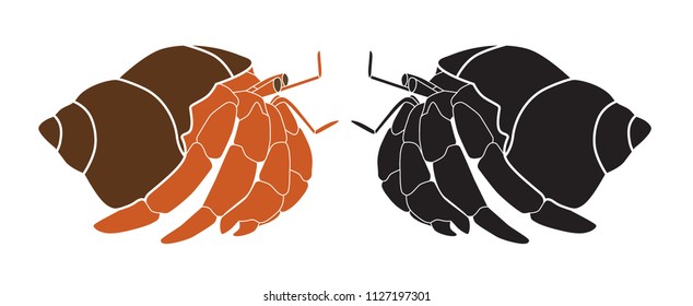 Hermit crab  Isolated crab white background  Vector 