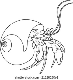 hermit crab  line vector illustration isolated white background