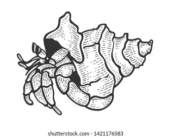 Hermit crab sea animal sketch engraving vector illustration. Scratch board style imitation. Black and white hand drawn image.