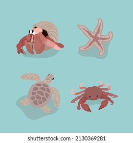 Hermit Crab, Sea Turtle, Red Crab, Starfish. Sea Animal at the beach.