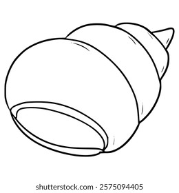 hermit crab shell illustration hand drawn outline vector