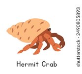 Hermit crab vector illustration. Cute shell-dwelling hermit crab cartoon clipart, animal in flat style. Sea animals, underwater creatures, ocean animals, marine life concept. Hermit crab vector