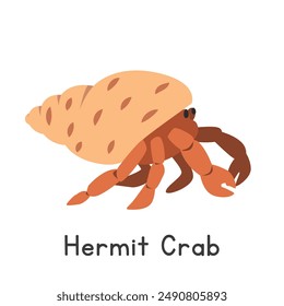 Hermit crab vector illustration. Cute shell-dwelling hermit crab cartoon clipart, animal in flat style. Sea animals, underwater creatures, ocean animals, marine life concept. Hermit crab vector