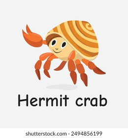 Hermit Crab Vector Illustration: Shelled Marine Creature