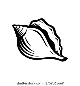 hermit crabs shell, sketch style vector illustration isolated on white background.