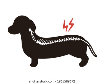 Herniated disc. Dog silhouette. 
Dachshund.