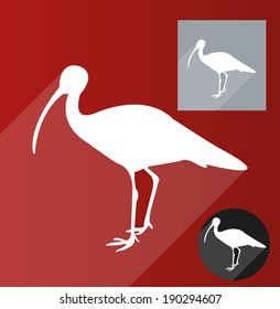 Heron