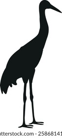 Heron arctic bird black-and-white vector illustration