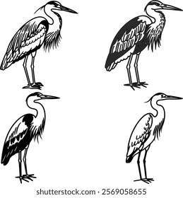 Heron bird bundle line art and illustrator eps