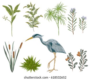 Heron Bird And Swamp Plants. Marsh Flora And Fauna. Isolated Elements Vintage Hand Drawn Vector Illustration In Watercolor Style