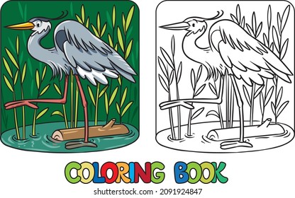 Heron coloring book. Children vector illustration. Coloring page of funny bird running on its paws.