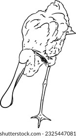 Heronvogel mit langer flacher Schnabelung, lineare Cartoon-Färbung