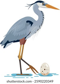 The heron contrasts with the egg, highlighting its nurturing role in a serene natural setting.