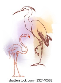heron and flamingo color