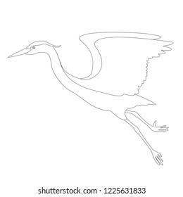 the heron is flying vector illustration   lining draw  profile view