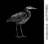 Heron hand drawing vector isolated on black background.