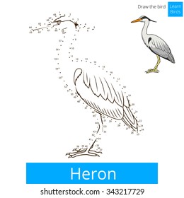 Heron learn birds educational game learn to draw vector illustration