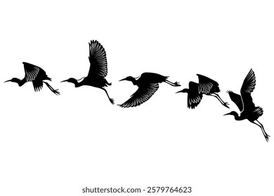 Heron migratory bird group flying  in horizon silhouette illustration
