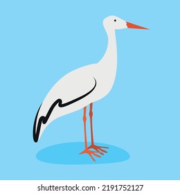 garza sobre fondo azul