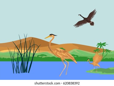 Heron on the swamp vector illustration