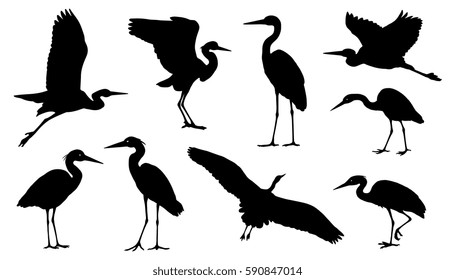 7,255 White heron illustration Images, Stock Photos & Vectors ...