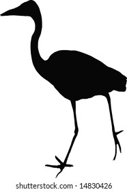 Heron silhouette:vector illustration.