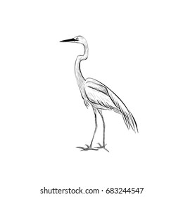 Heron is a sketch vector illustration. Hand sketch of heron design