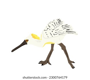 Heron spoon bill vector illustration isolated on white background. Heron big bird fishing symbol.