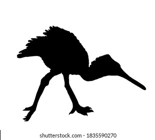 Heron spoon bill vector silhouette illustration isolated on white background. Shape shadow Heron silhouette. Big bird fishing symbol.